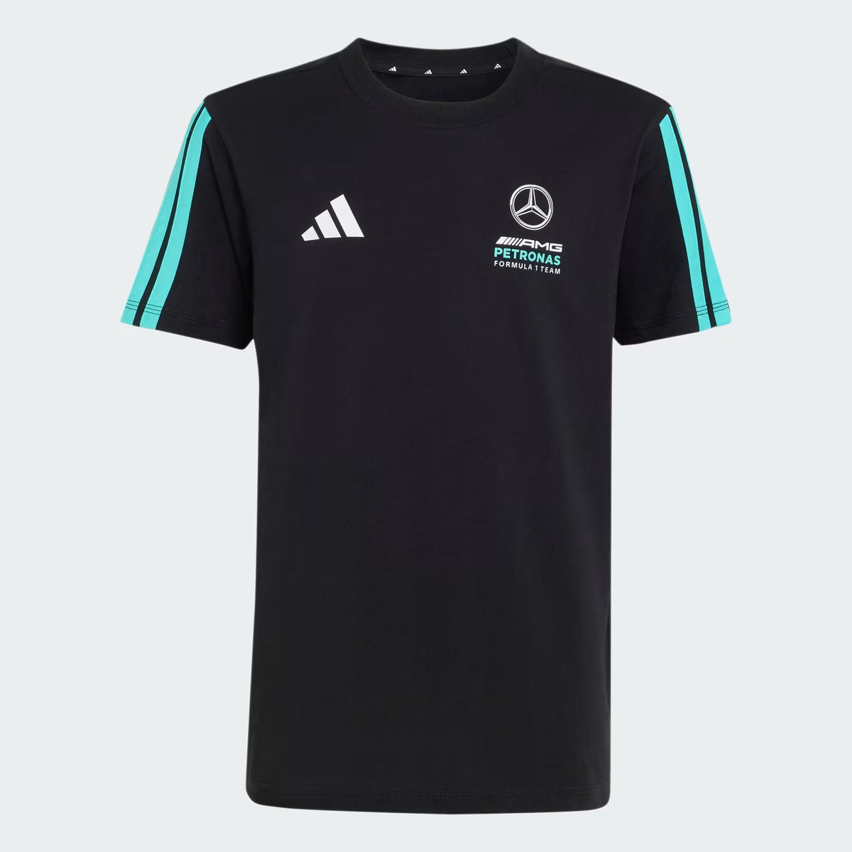 MERCEDES-AMG PETRONAS FORMULA 1 TEAM DNA T-SHIRT